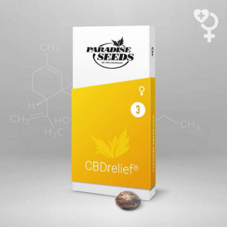 CBD relief Paradise Seeds - Féminisée