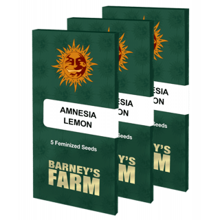 Amnesia Lemon  - Barney's Farm