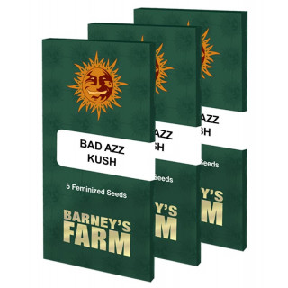 Bad Azz Kush  - Barney's Farm