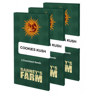 Cookies Kush - Barney's Farm