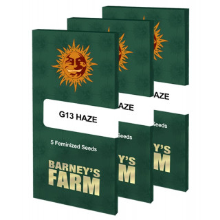 G13 Haze - Barney's Farm