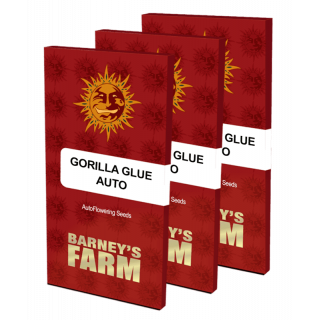 Gorilla Glue Auto - Barney's Farm