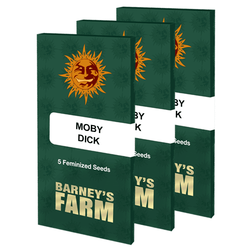 Moby Dick - Barney's Farm Moby Dick - Barney's Farm
