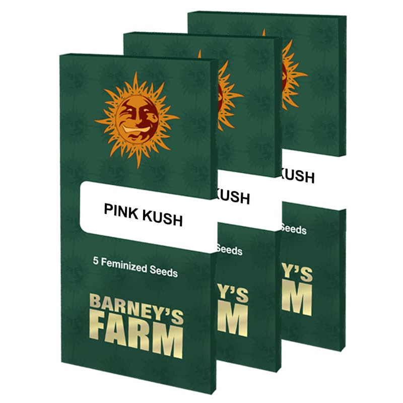 Pink Kush - Barney's Farm