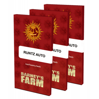 Runtz Auto - Barney's Farm