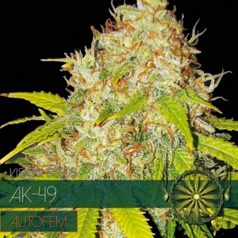 AK-49 Auto - Vision Seeds - Graines de Collection
