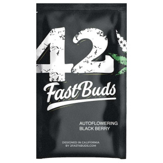 Blackberry Auto - Fastbuds