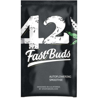 Smoothie auto fastbuds