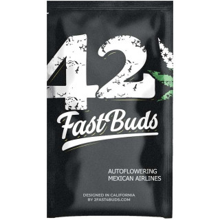 Mexican Airlines Auto - FastBuds