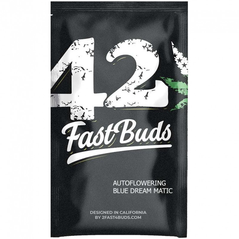 Blue Dream'Matic - Autofloraison - FastBuds