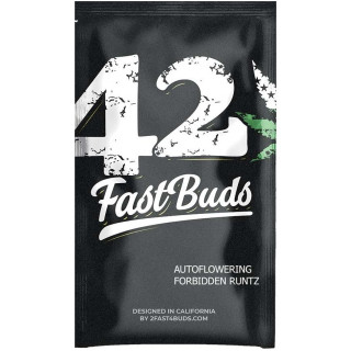 Forbidden Runtz Auto - Fast'Buds
