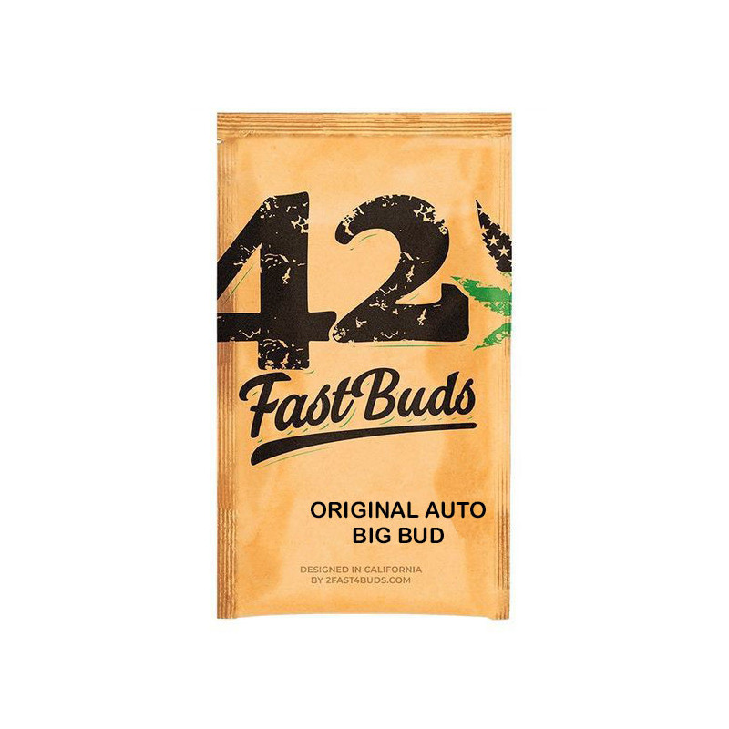 Big Bud - Autofloraison - FastBuds