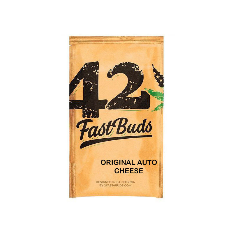 Cheese - Autofloraison - FastBuds