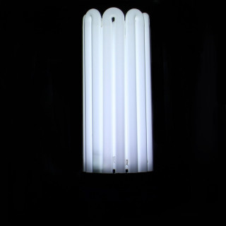 Lampe CFL 250W Croissance Florastar - 6400K°