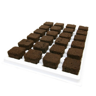 Plateau de 24 cubes de bouturage root riot