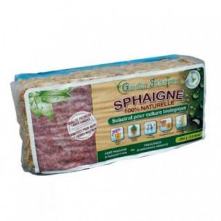 Sphaigne du Chili 1 Kilo