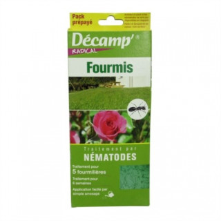 Traitement anti-fourmis par nématode - Décamp Radical