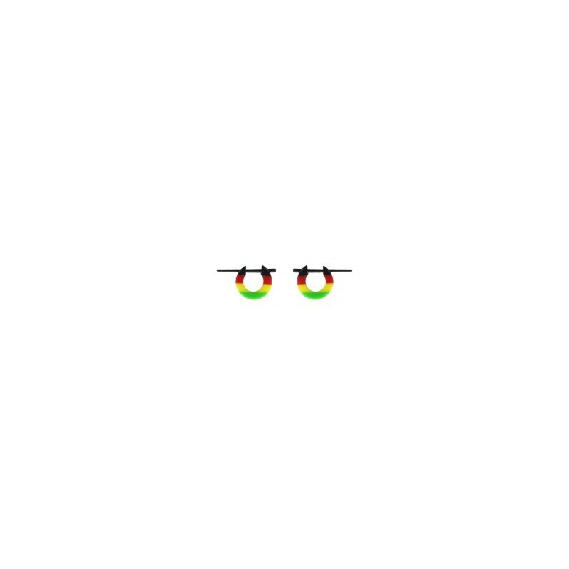 Boucles d'oreilles rasta
