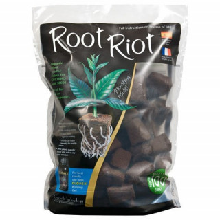 Root Riot 100 bouchons bouturage et semis
