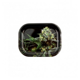 Plateau métal Small 18 x 14 cm - OG Kush