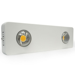 Panneau LED 2 x 100W COB CREE CXB3590