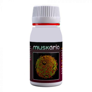 Muskaria - 60 ml