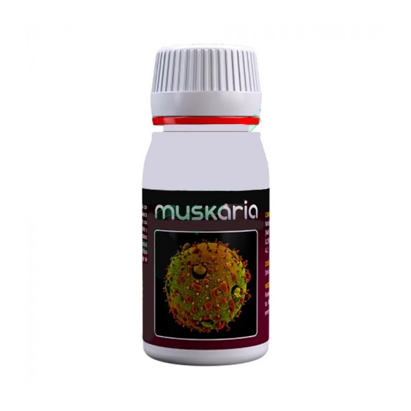 Muskaria - 60 ml