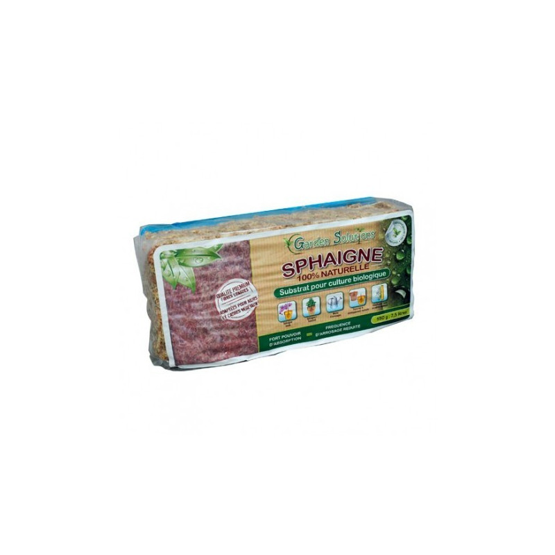 Sphaigne du Chili 150 gr