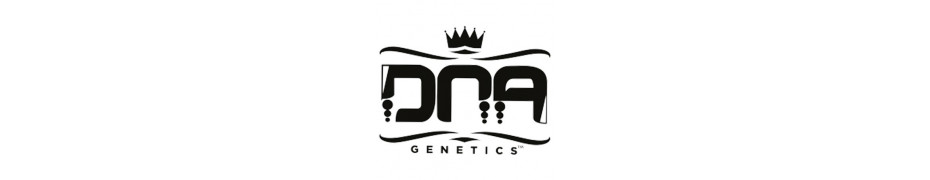 Graines de cannabis DNA Genetics Livraison offerte sur roots-seeds.fr