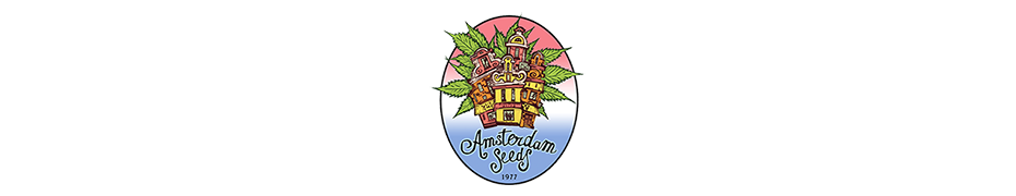 Graine de cannabis Amsterdam Seed Livraison offerte sur roots-seeds.fr