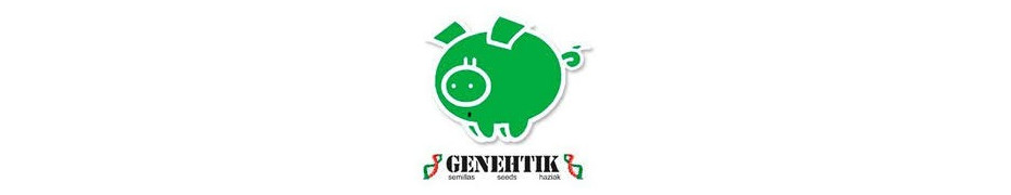Genehtik seeds