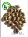 ok Kiwi Seeds
