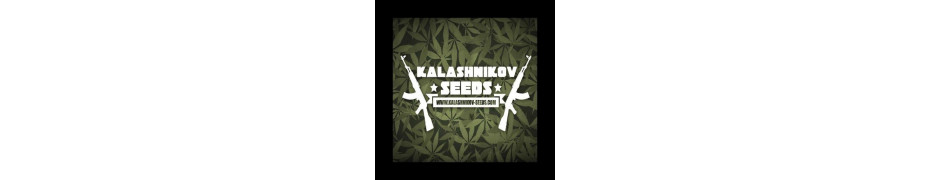 Graine de cannabis Kalashnikov Seed Livraison offerte - roots-seeds.fr