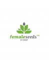 ok Female Seeds