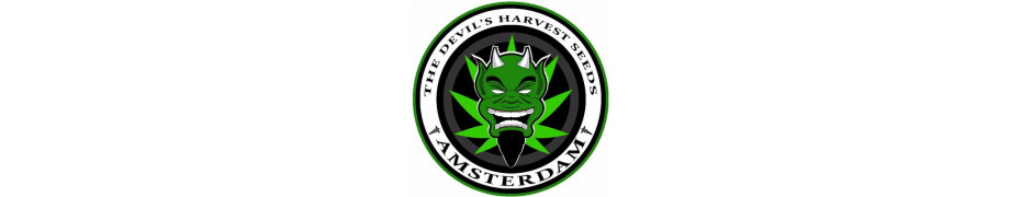 Graine de cannabis Devil's Harvest Seeds Livraison offerte Roots.fr