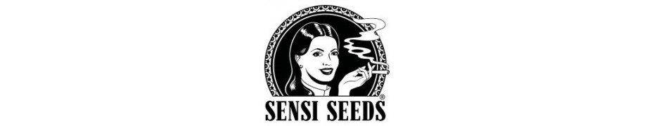 Graines de cannabis Sensi Seeds Livraison offerte sur roots-seeds.fr