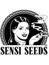 ok Sensi Seeds