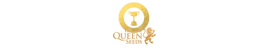 Graines de cannabis Royal Queen Seeds Livraison offerte roots-seeds.fr