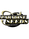 ok Paradise Seeds