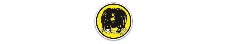 Graines de cannabis Reggae Seeds Livraison offerte sur roots-seeds.fr