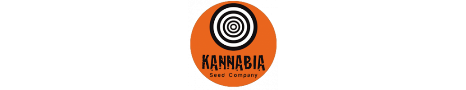 Graines de cannabis Kannabia Livraison offerte sur roots-seeds.fr
