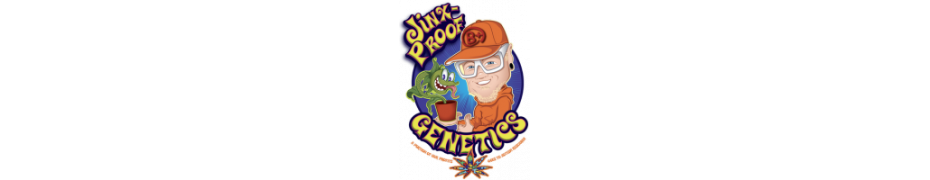 Graine de cannabis Jinxproof Genetics Livraison offerte roots-seeds.fr