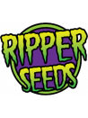 ok Ripper Seeds