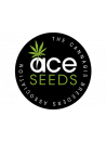 ok Ace Seeds