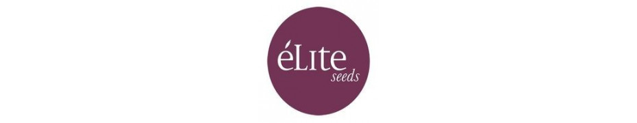 Graines de cannabis Elite Seeds Livraison offerte sur roots-seeds.fr