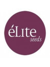 ok Elite Seeds