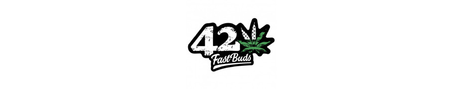 Graines de cannabis 420 Fast Buds Livraison offerte sur roots-seeds.fr