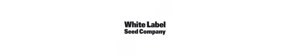 Graines de cannabis White Label Seeds Livraison offerte roots-seeds.fr