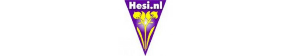 HESI