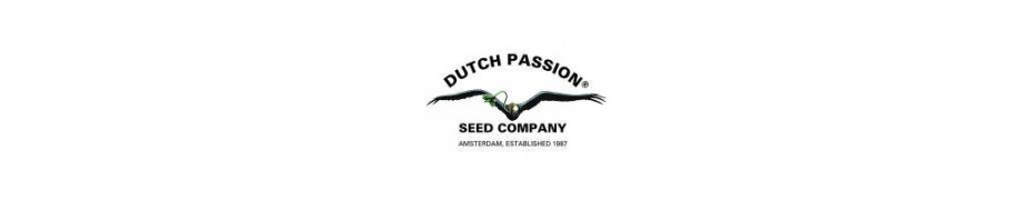 Graines de cannabis Dutch Passion Livraison offerte sur roots-seeds.fr